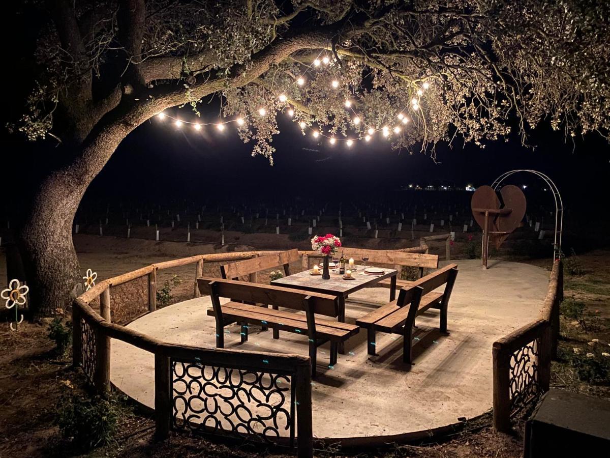 Finca Casaes Apartamentos Torralba de Oropesa Экстерьер фото