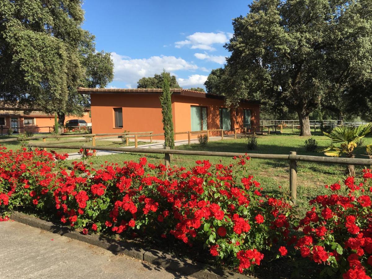 Finca Casaes Apartamentos Torralba de Oropesa Экстерьер фото